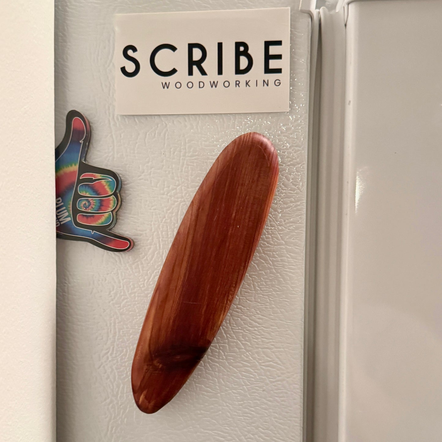 Magnets - Basic, Various Species and Shapes.