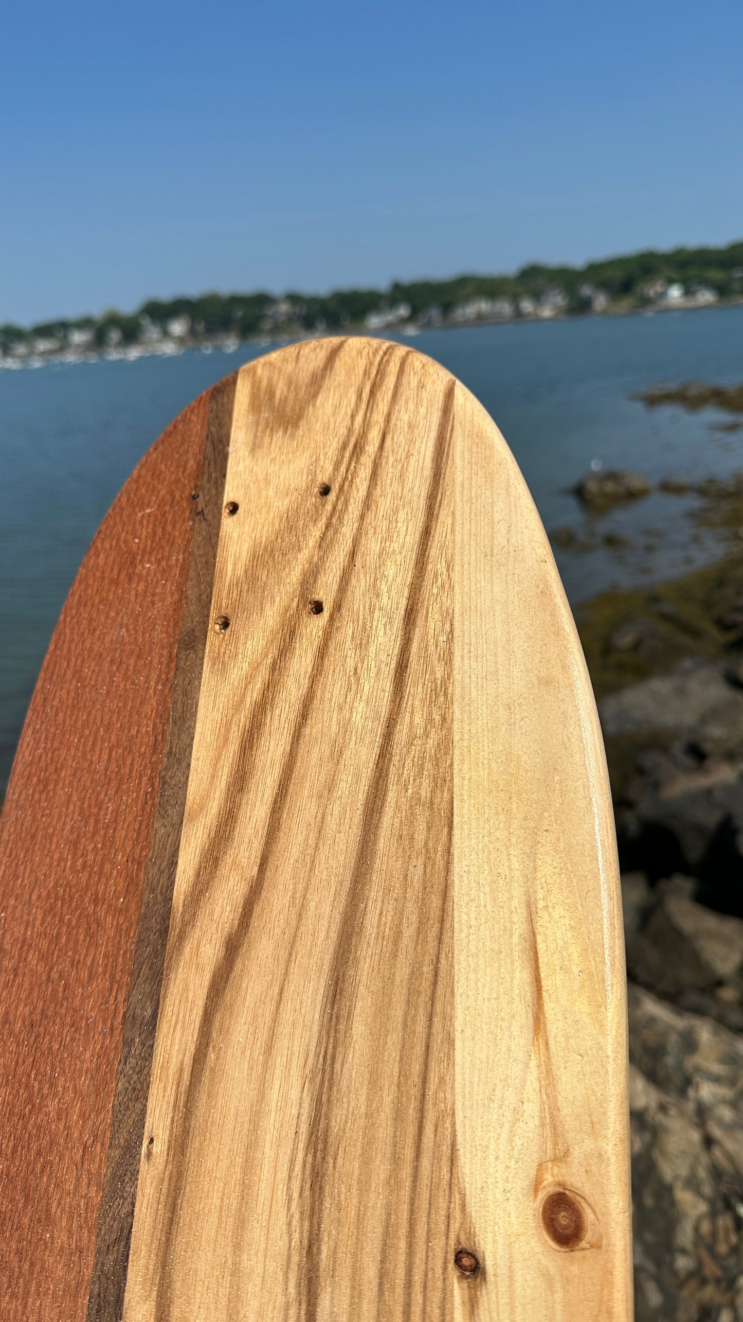 Deck - Alaia Old School, 36" - Tigerwood, Walnut, Zebrawood, Pine